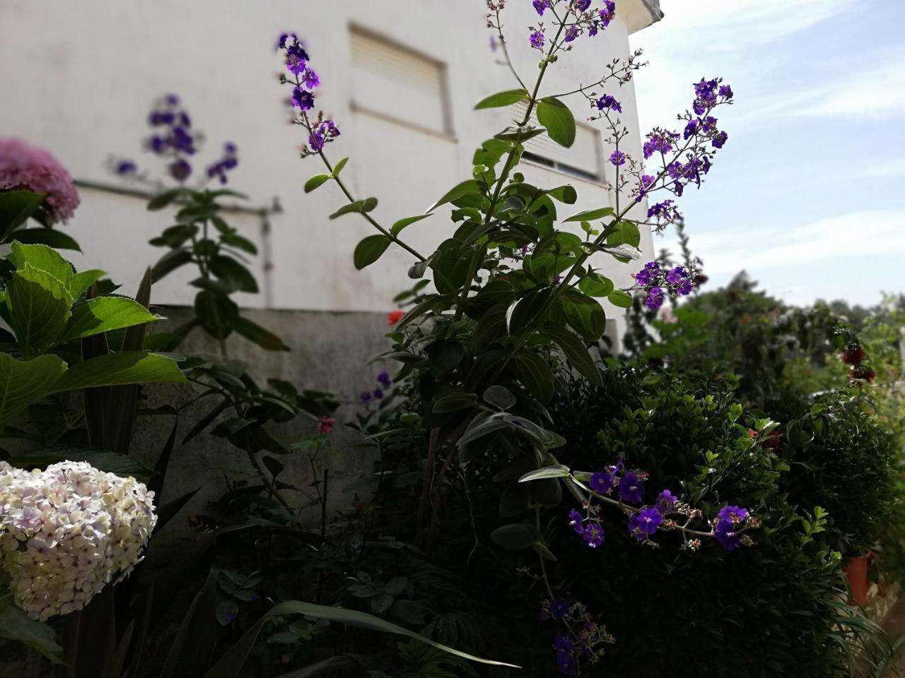 Residencial Idalio Hotel Odemira Kültér fotó